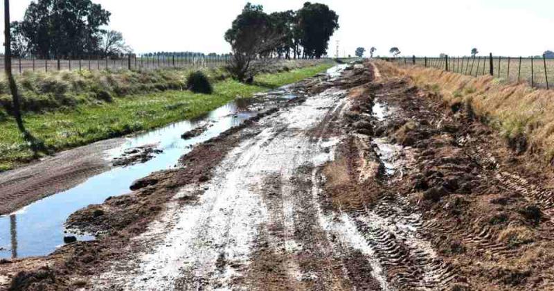 Rebelioacuten fiscal en Boliacutevar- productores rurales no pagaraacuten la tasa con aumentos