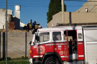 Se quebroacute la escalera y cayoacute de un techo a otro