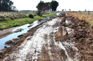 Rebelioacuten fiscal en Boliacutevar- productores rurales no pagaraacuten la tasa con aumentos