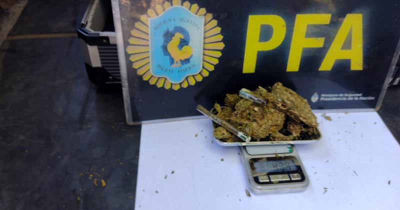 Policiacutea Federal secuestroacute marihuana en un control de rutina