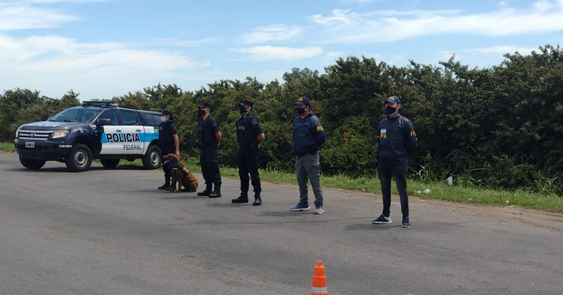 Policiacutea Federal secuestroacute marihuana en un control de rutina