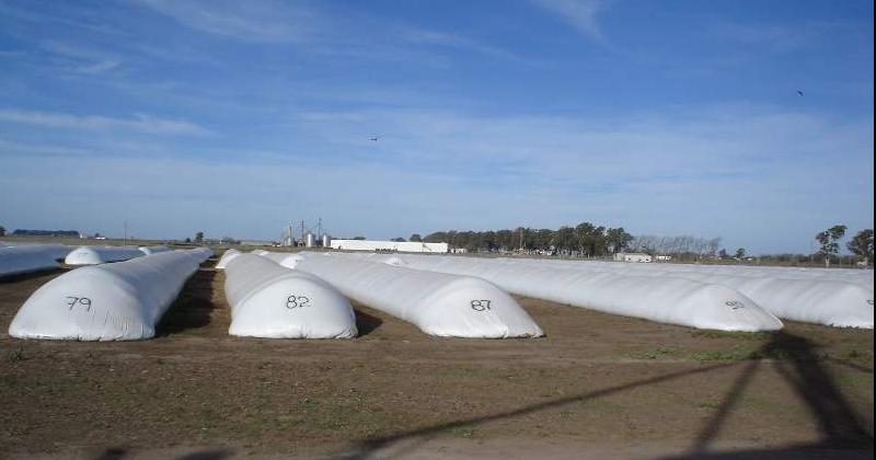 En el caso de almacenar trigo en silobolsa es importante lograr condiciones de hermeticidad adecuadas ya que afecta a la respiración del grano y los microorganismos presentes