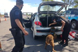 Policiacutea Federal secuestroacute marihuana en un control de rutina