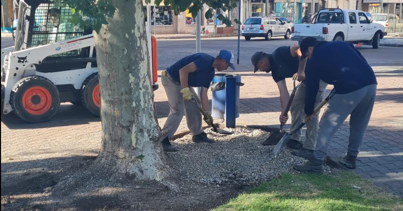 Tareas de mantenimiento y puesta en valor de la Plaza Central