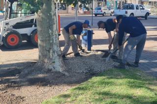 Tareas de mantenimiento y puesta en valor de la Plaza Central