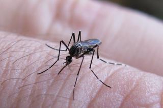 Recomendaciones para prevenir el dengue