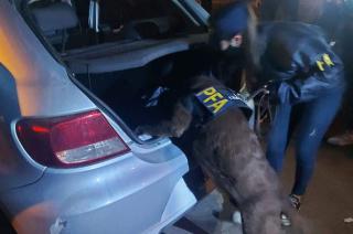 Coffe es el perro adiestrado que trabaja en la División de la Policía Federal de Olavarría