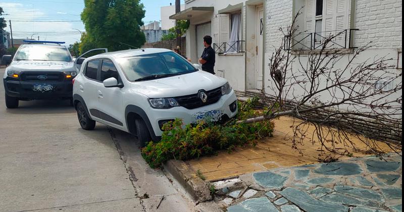 San Vicente- un conductor perdioacute el control de su auto y choco contra una planta