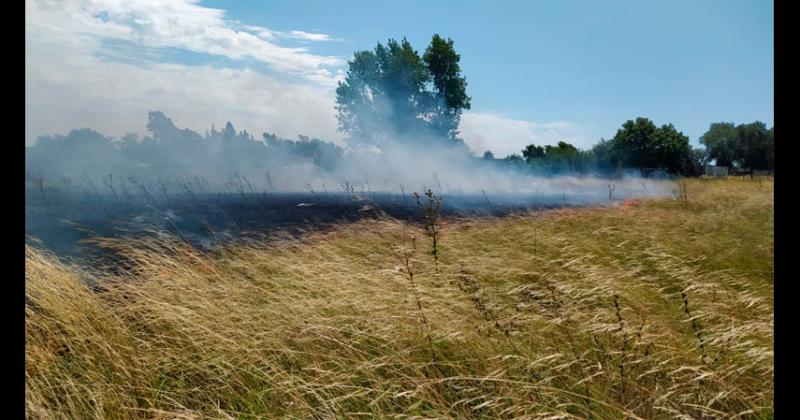 Incendio de pastos en barrio Nicolaacutes Avellaneda