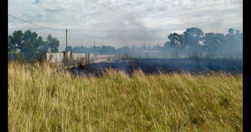 Incendio de pastos en barrio Nicolaacutes Avellaneda