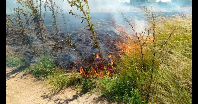 Incendio de pastos en barrio Nicolaacutes Avellaneda