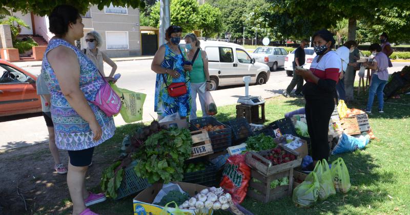 Este saacutebado habraacute feria de verduras del MTE 