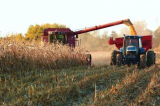 Los productores reciben un precio muy alejado del que aparece en las góndolas