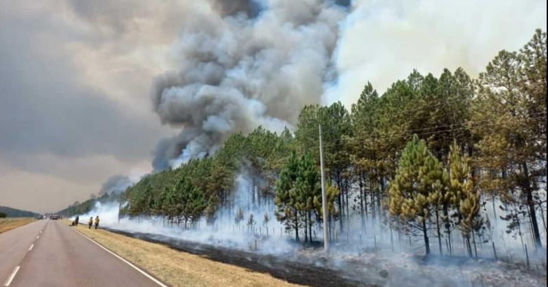 Un alivio trajo la lluvia a la acción de las brigadas que intentan apagar los incendios en Corrientes