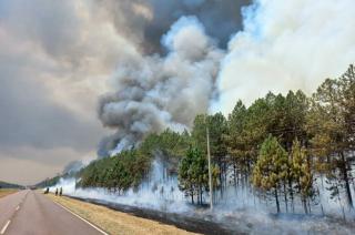 Un alivio trajo la lluvia a la acción de las brigadas que intentan apagar los incendios en Corrientes