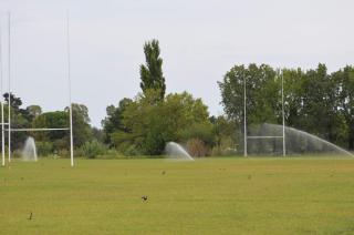 Las canchas de rugby ya tienen riego