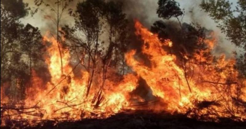 Los incendios en Corrientes