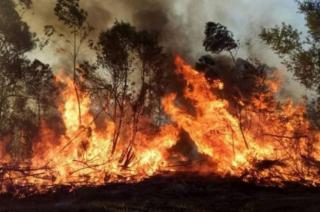 Los incendios en Corrientes