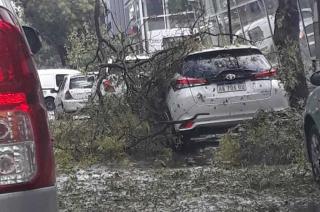 Un temporal destrozó Mendoza