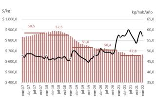 Evolución mensual del consumo de carne vacuna (MAGyP) y el precio promedio pagado por el consumidor (IPCVA) medido en pesos constantes a enero de 2022