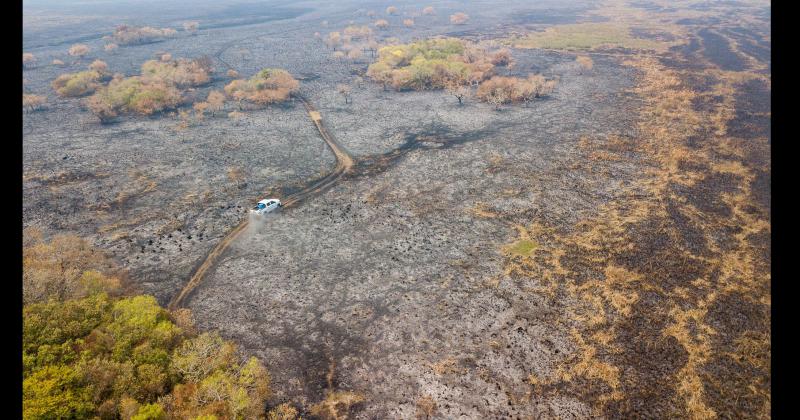 Fundacioacuten Rewilding en el Iberaacute- La naturaleza es resiliente y se va recuperar