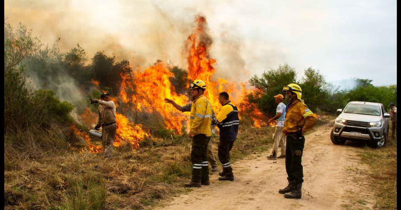 Fundacioacuten Rewilding en el Iberaacute- La naturaleza es resiliente y se va recuperar