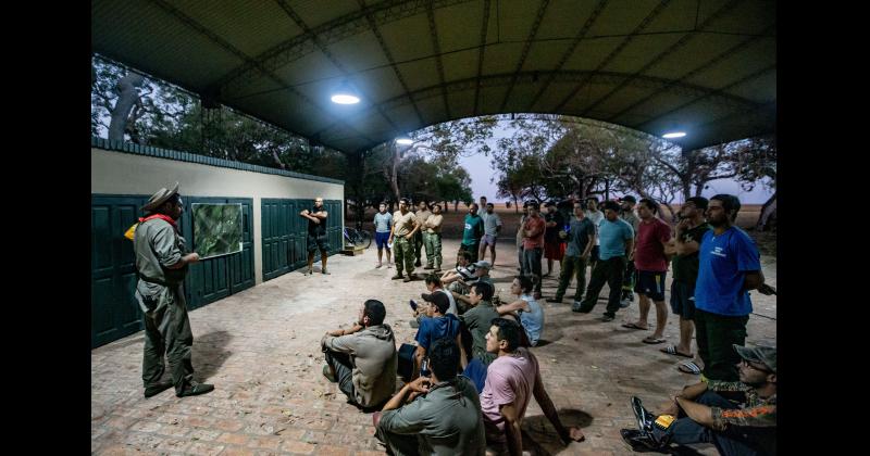 Fundacioacuten Rewilding en el Iberaacute- La naturaleza es resiliente y se va recuperar