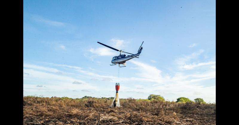 Fundacioacuten Rewilding en el Iberaacute- La naturaleza es resiliente y se va recuperar