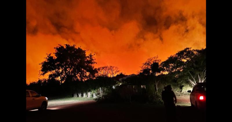 Fundacioacuten Rewilding en el Iberaacute- La naturaleza es resiliente y se va recuperar