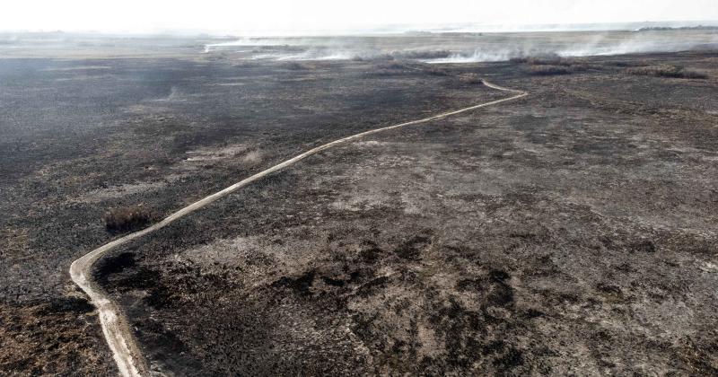 Fundacioacuten Rewilding en el Iberaacute- La naturaleza es resiliente y se va recuperar