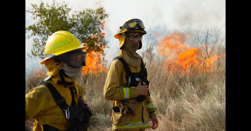 Fundacioacuten Rewilding en el Iberaacute- La naturaleza es resiliente y se va recuperar