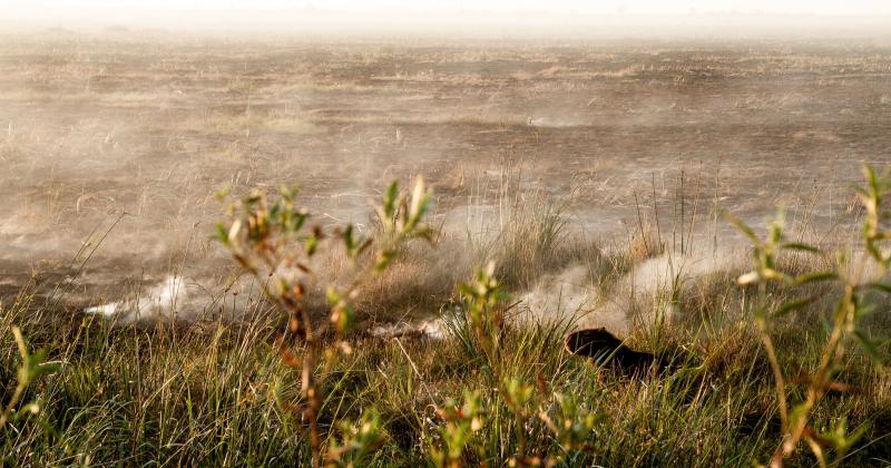 Fundacioacuten Rewilding en el Iberaacute- La naturaleza es resiliente y se va recuperar