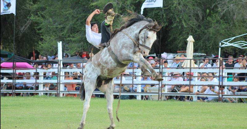 Gran marco de puacuteblico en el segundo diacutea del Festival de Doma y Folclore