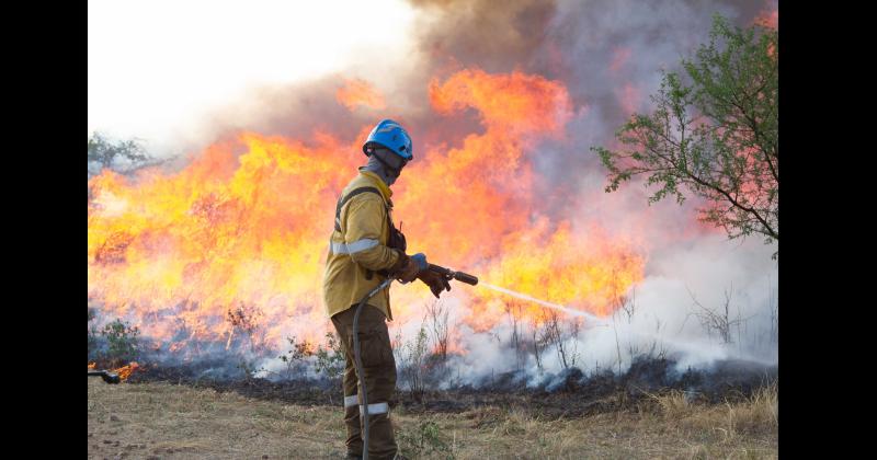 Fundacioacuten Rewilding en el Iberaacute- La naturaleza es resiliente y se va recuperar