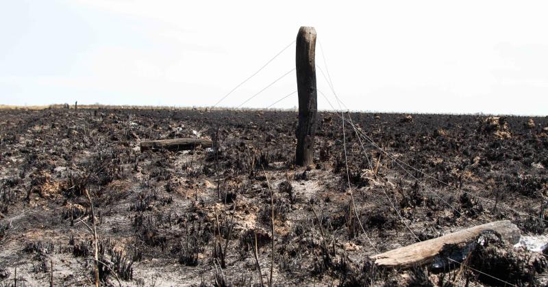 Fundacioacuten Rewilding en el Iberaacute- La naturaleza es resiliente y se va recuperar