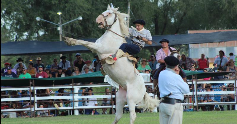 Gran marco de puacuteblico en el segundo diacutea del Festival de Doma y Folclore