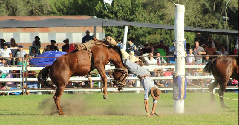 Gran marco de puacuteblico en el segundo diacutea del Festival de Doma y Folclore