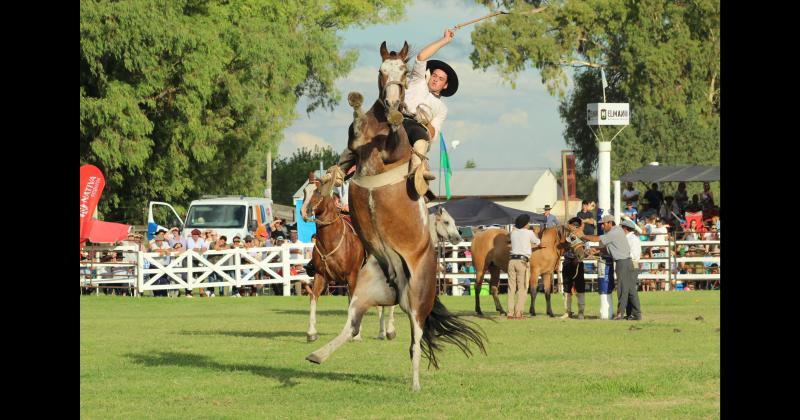 Festival- se conocieron los ganadores de la jineteada