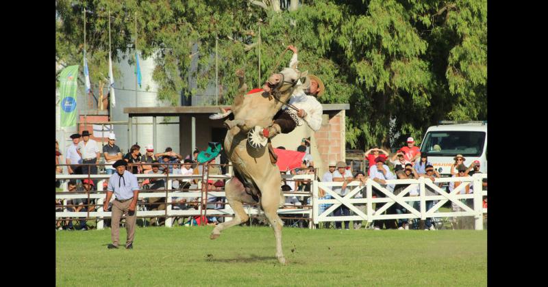 Festival- se conocieron los ganadores de la jineteada