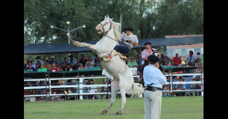 Festival- se conocieron los ganadores de la jineteada