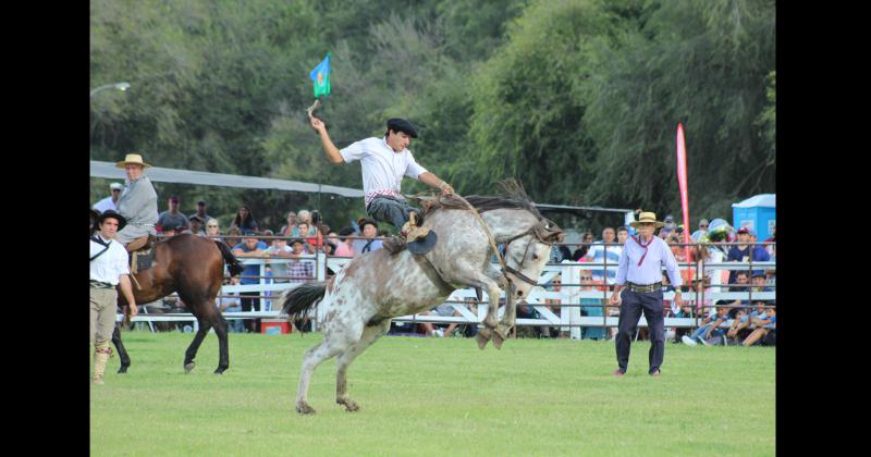 Festival- se conocieron los ganadores de la jineteada