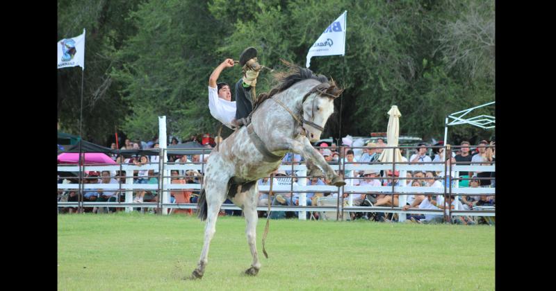 Festival- se conocieron los ganadores de la jineteada