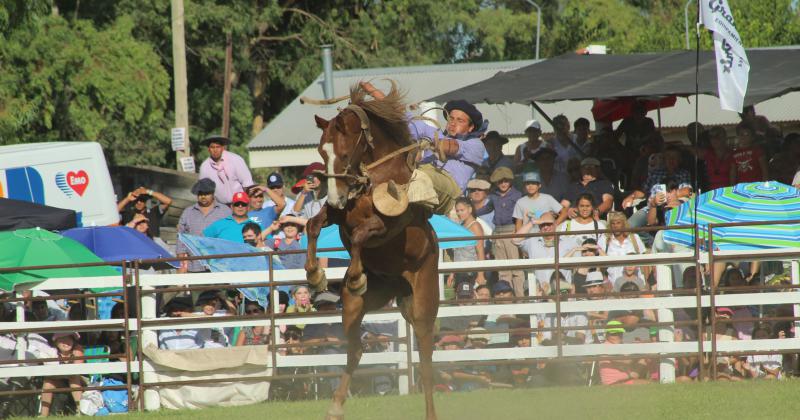 El cierre del Festival de Doma y Folklore en imaacutegenes