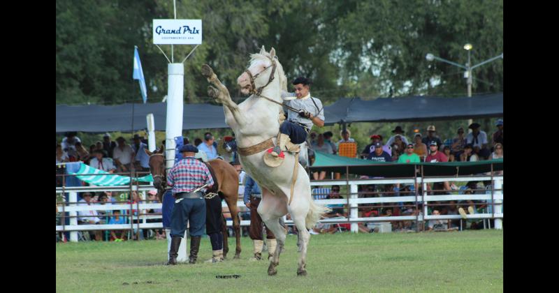 Festival- se conocieron los ganadores de la jineteada