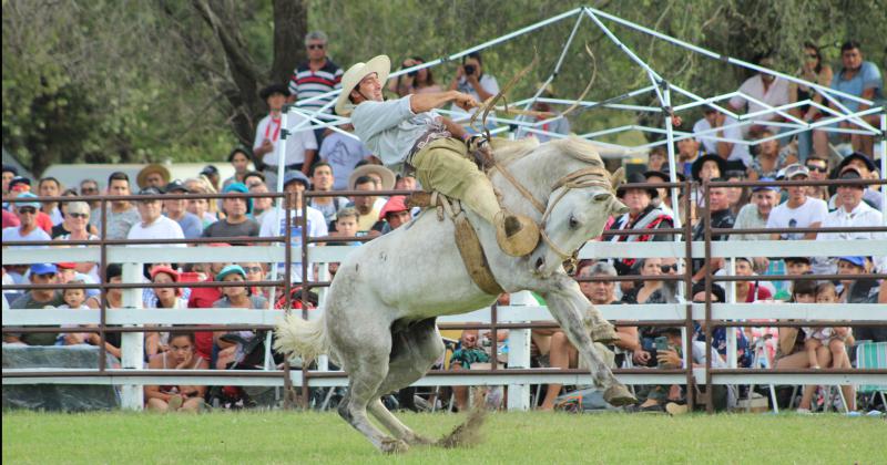 El cierre del Festival de Doma y Folklore en imaacutegenes