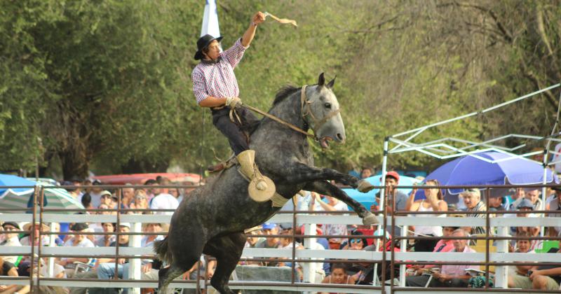 El cierre del Festival de Doma y Folklore en imaacutegenes