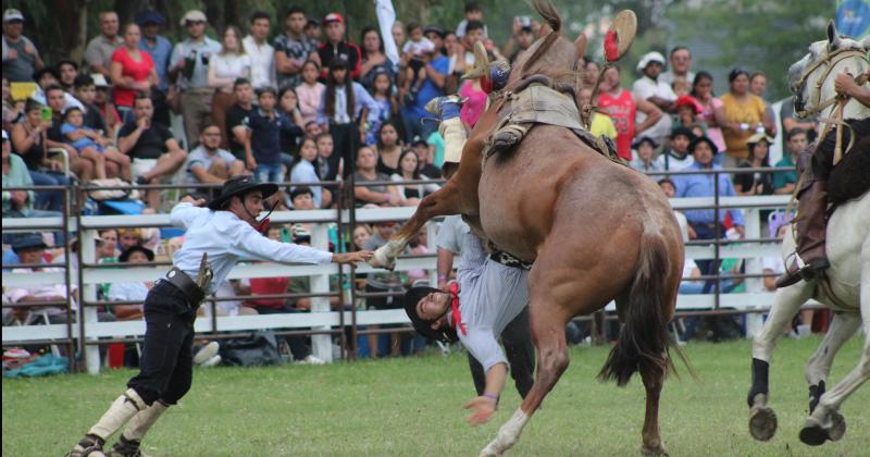 El cierre del Festival de Doma y Folklore en imaacutegenes