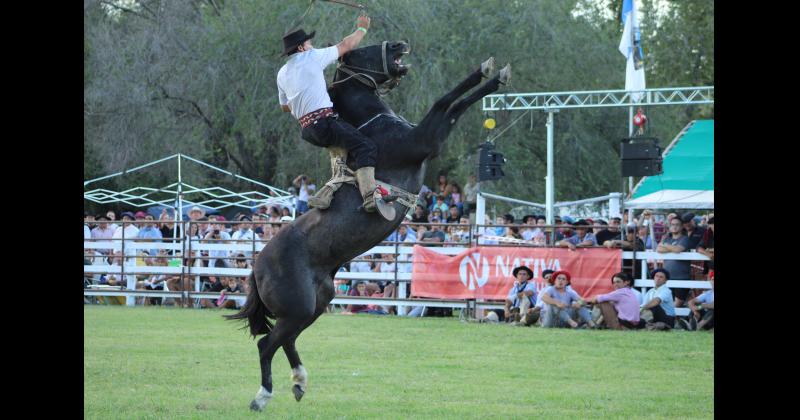 Festival- se conocieron los ganadores de la jineteada