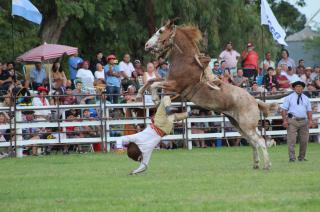 Festival- se conocieron los ganadores de la jineteada