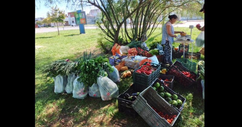 Feria de Verduras del MTE Rural en los parques